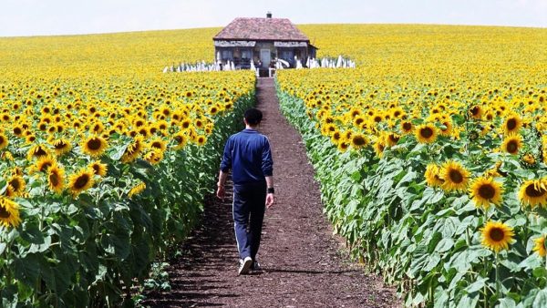 Між ностальгією і постпам’яттю: Україна як втрачений і віднайдений дім